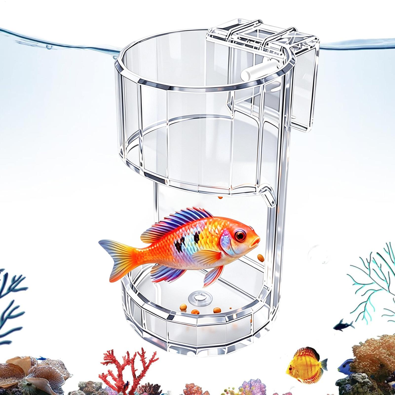 Aquarium Feeding Dish Transpar - đánh giá và giá Food Storage Room