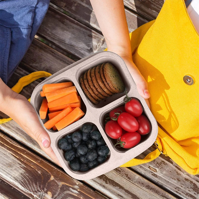 4 Grids Food Storage Box Porta - đánh giá và giá Food Storage Box Plastic