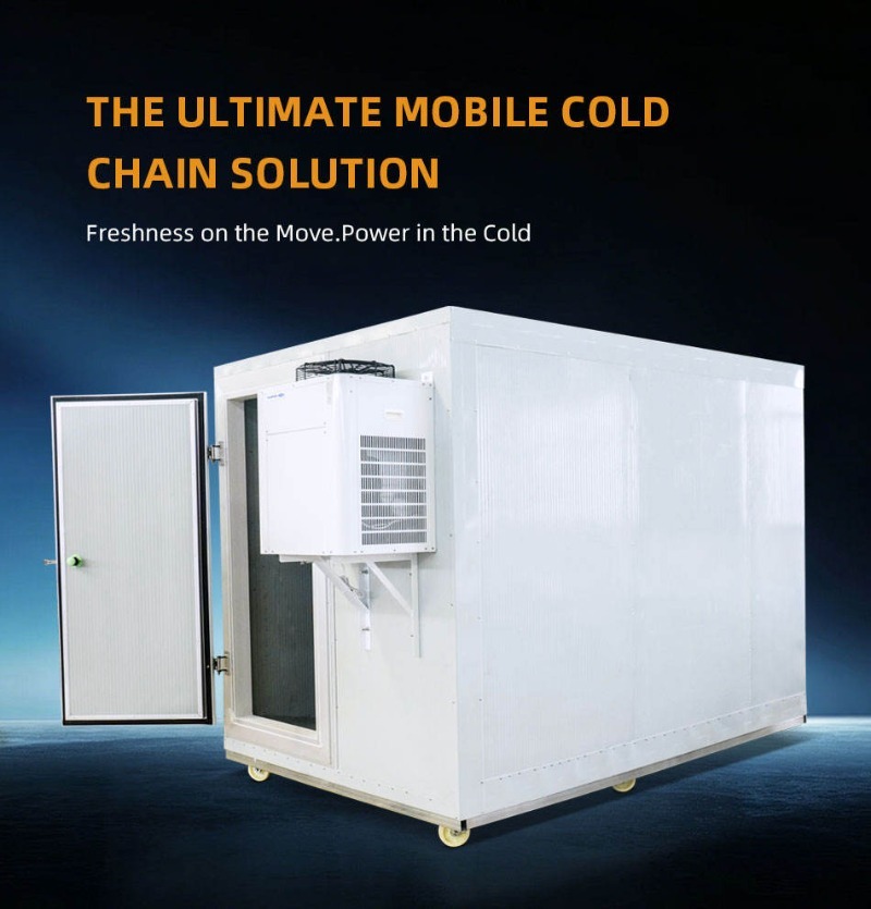 Portable Mobile Freezer Room W - đánh giá và giá Food Storage Room