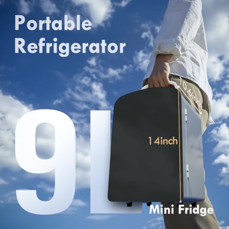 9L Mini Fridge for Bedroom Car - đánh giá và giá Portable Food Warmer