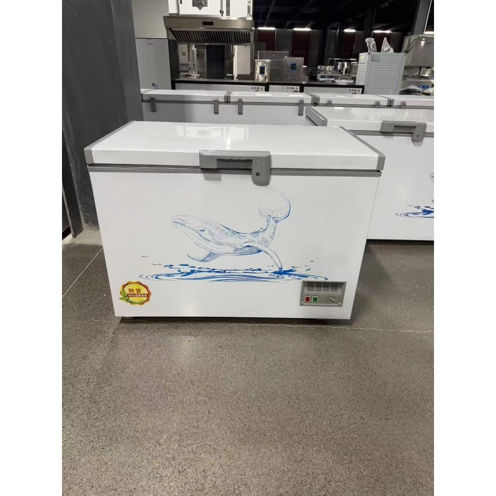 Wholesale Custom Horizontal Ch - đánh giá và giá Food Storage Freezer